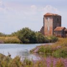 Escursioni Comacchio Delta del Po