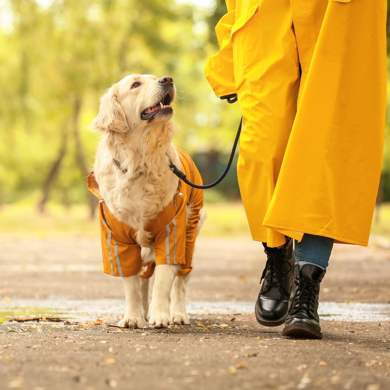 Pet Sitting a Comacchio1 Pet Sitting a Comacchio